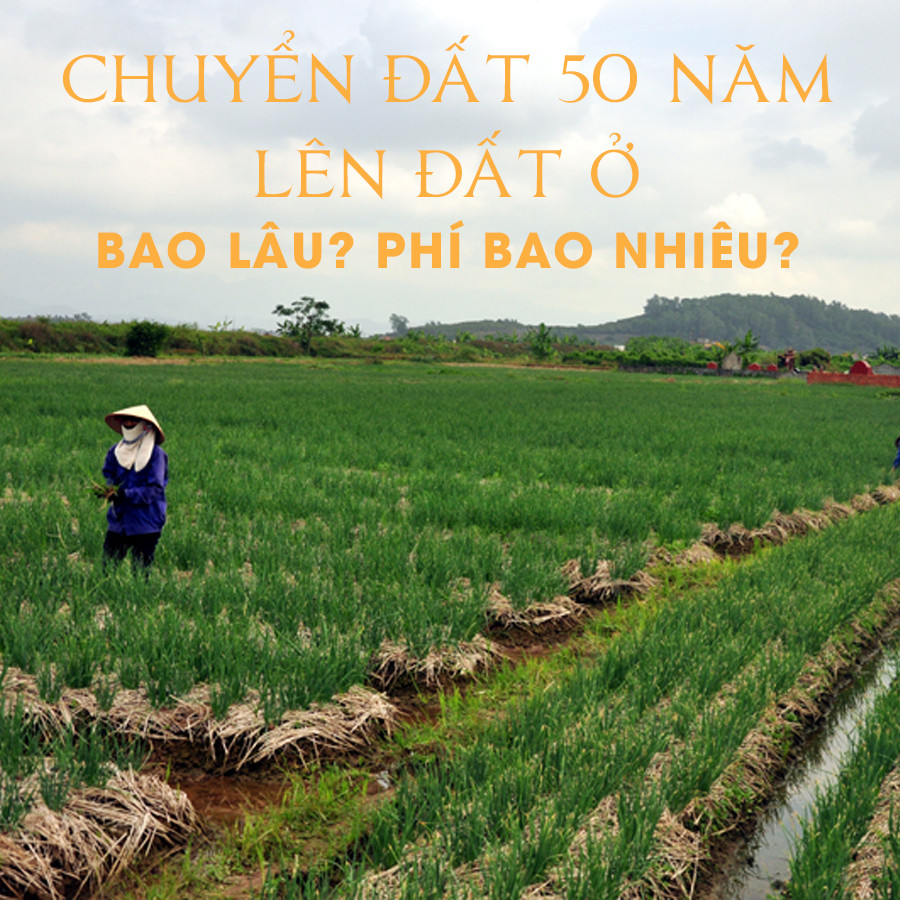 Chuyển đất