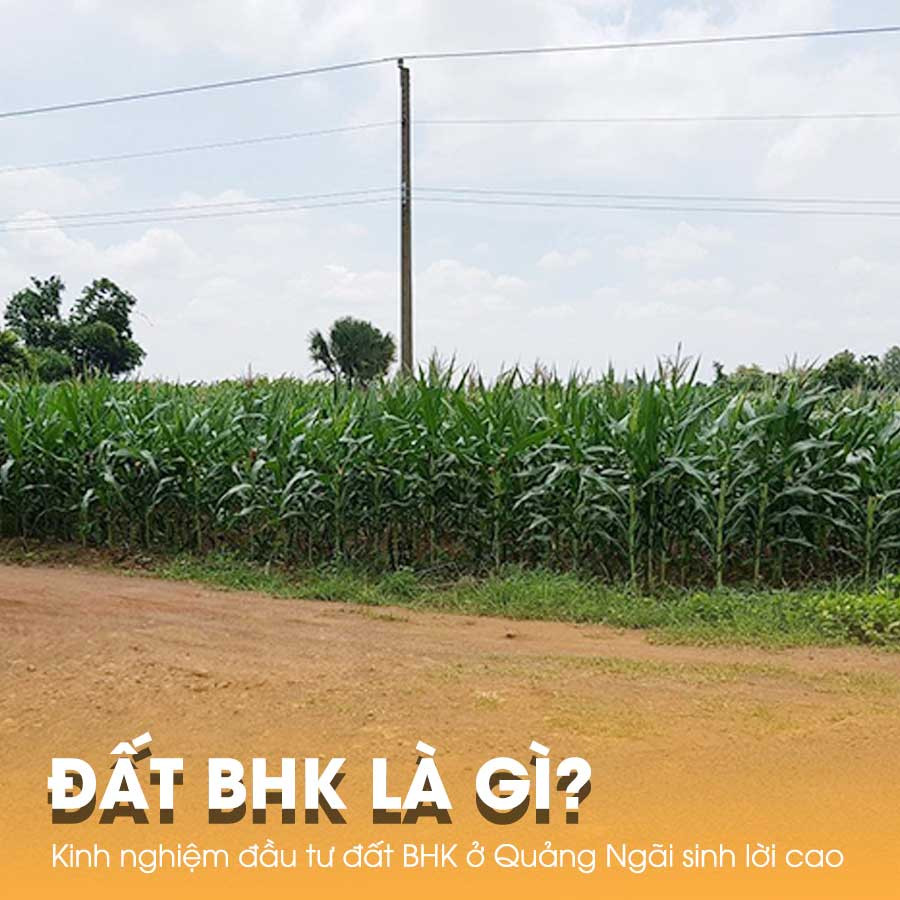 Đất BHK là gì?