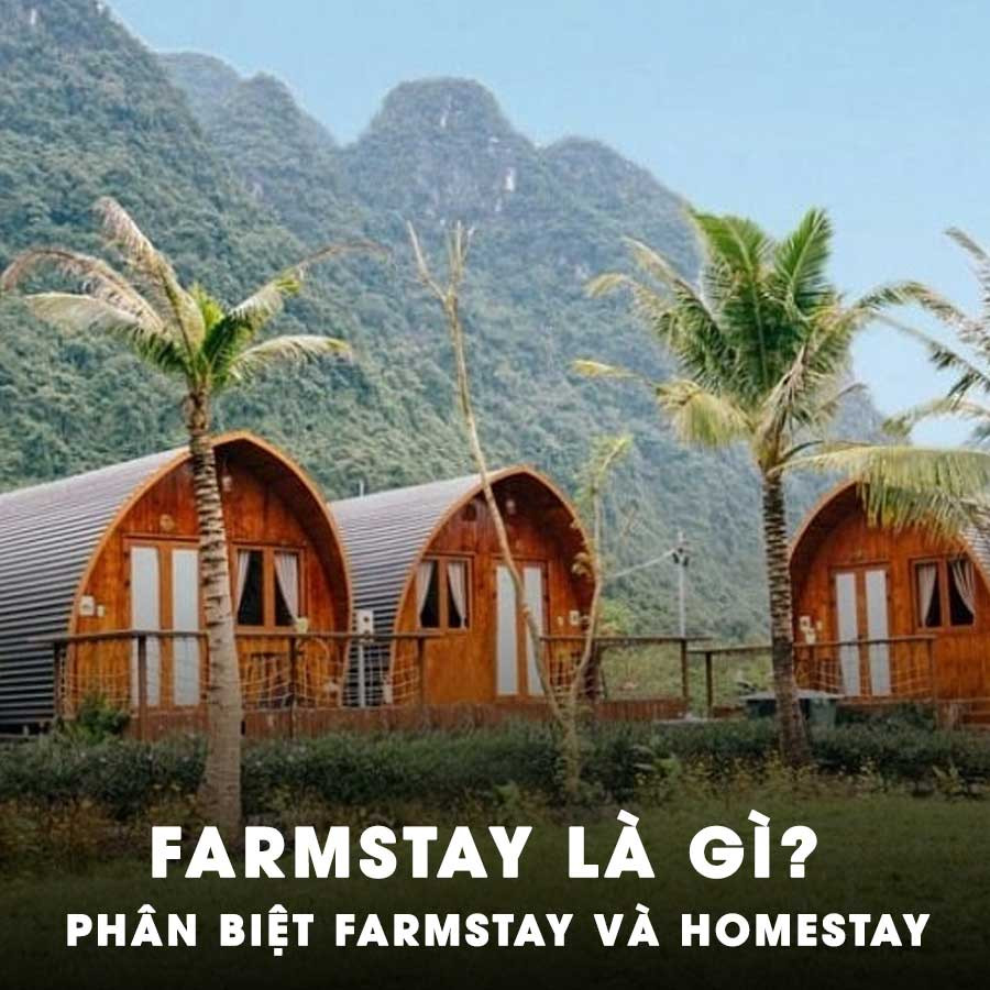 farmstay