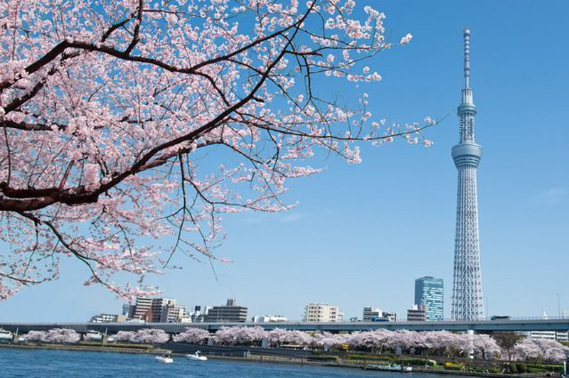 Tokyo Skytree, Sumida