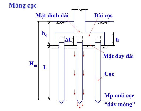 Cấu tạo của móng cọc