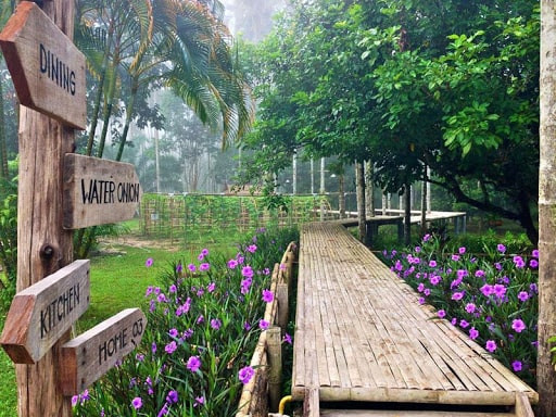 Công nghệ sử dụng cho Farmstay