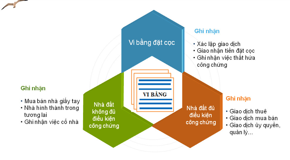 Đặc điểm nhận dạng vi bằng