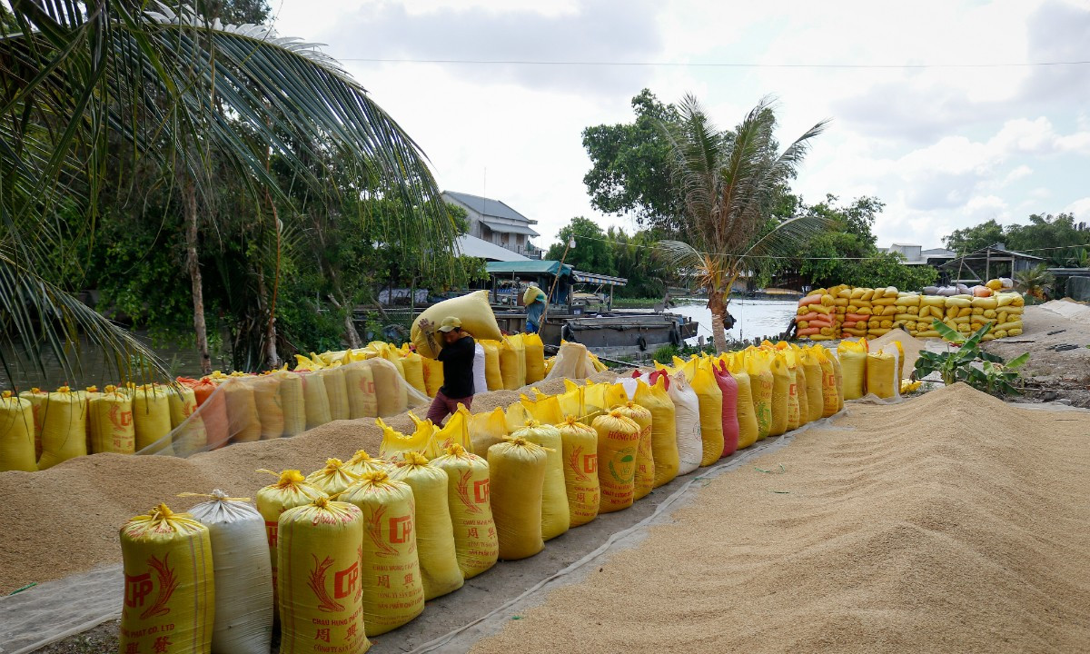 Kinh tế ĐBSCL gặp khó khăn về phát triển