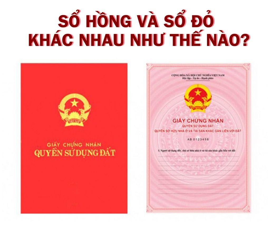 Phân biệt số hồng và số đỏ