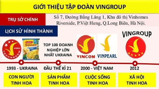 Quá trình thành lập tập đoàn Vingroup