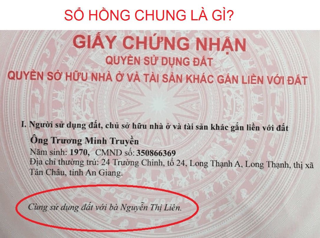 Sổ hồng chung là gì?