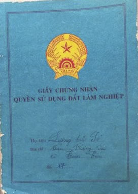 Số xanh là gì