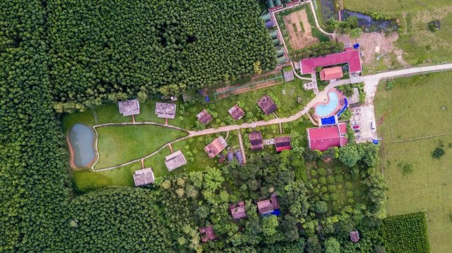 Thị trường Farmstay