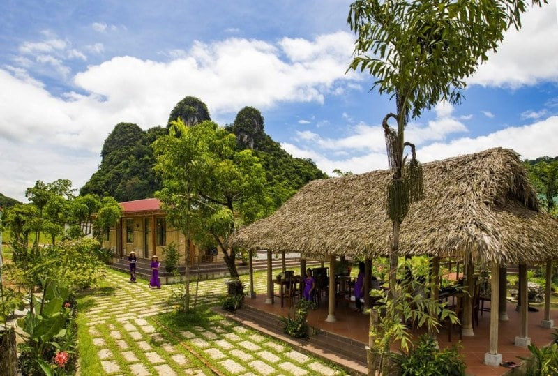 Trải nghiệm Farmstay