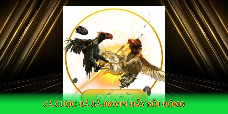 Đá Gà Trực Tiếp Ở Thomo 98win – Cá Cược Kịch Tính