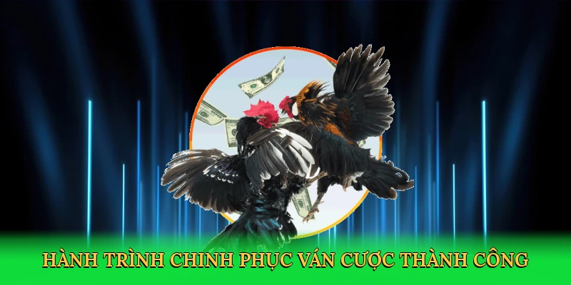 Đá Gà Trực Tiếp Ở Thomo 98win – Cá Cược Kịch Tính
