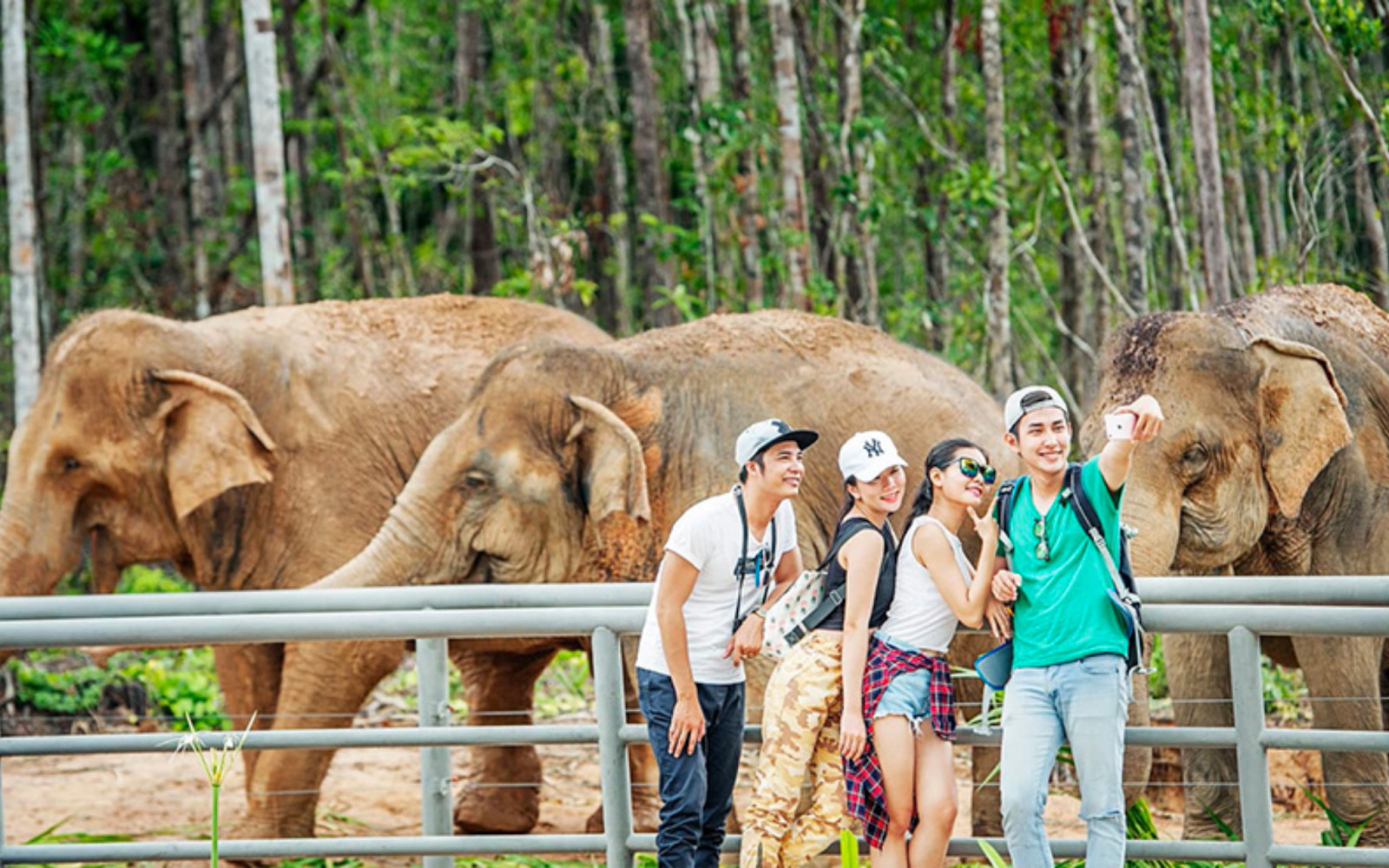 Khám Phá Vinpearl Safari Phú Quốc &#8211; Điểm Đến Tuyệt Vời Cho Những Tín Đồ Yêu Thú Hoang Dã
