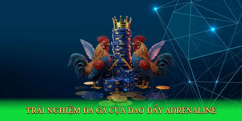 Đá Gà Cựa Dao: Thám Hiểm Đấu Trường Số Mãnh Liệt Tại RED88