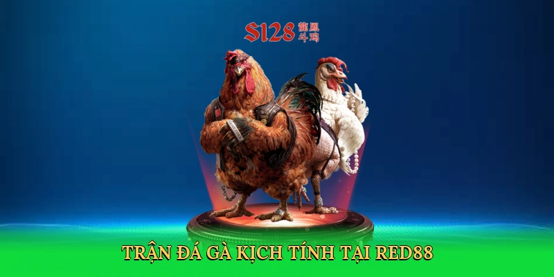 Đá Gà Cựa Dao: Thám Hiểm Đấu Trường Số Mãnh Liệt Tại RED88