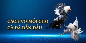 Cách Chơi Poker – Bí Quyết Thắng Lớn Tại FI88
