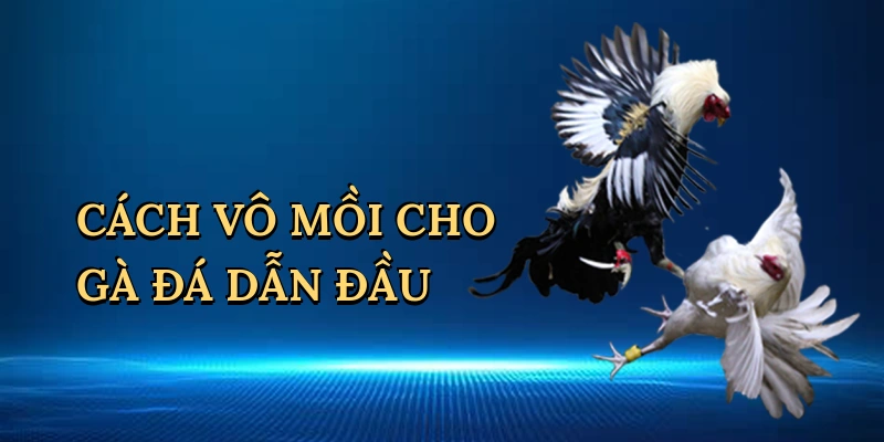 Cách vô mồi cho gà đá